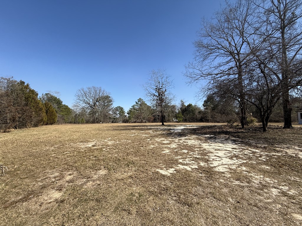 555 Dr Brooks Road Box Springs, GA 31801 - Photo 44 of 59