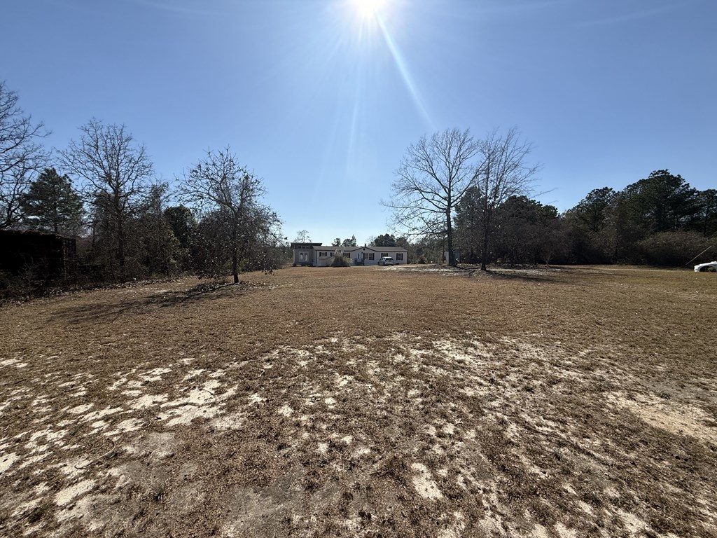 555 Dr Brooks Road Box Springs, GA 31801 - Photo 47 of 59