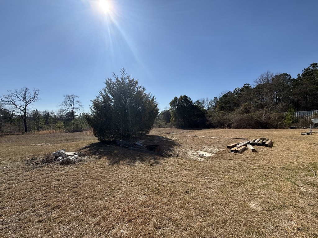 555 Dr Brooks Road Box Springs, GA 31801 - Photo 49 of 59