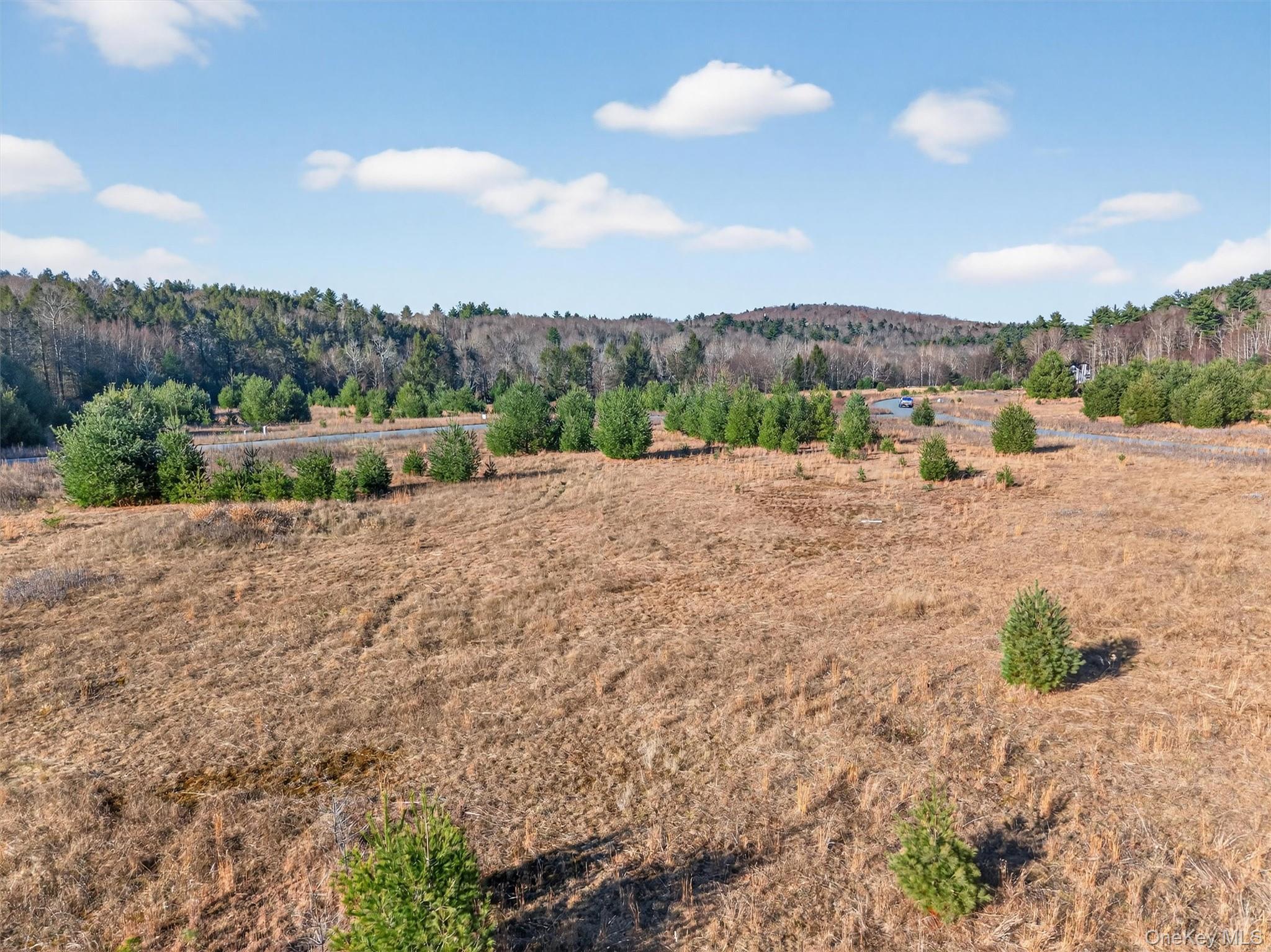 Marsh Road Fallsburg, NY 12733 - Photo 11 of 15 a view of a dry yard with trees