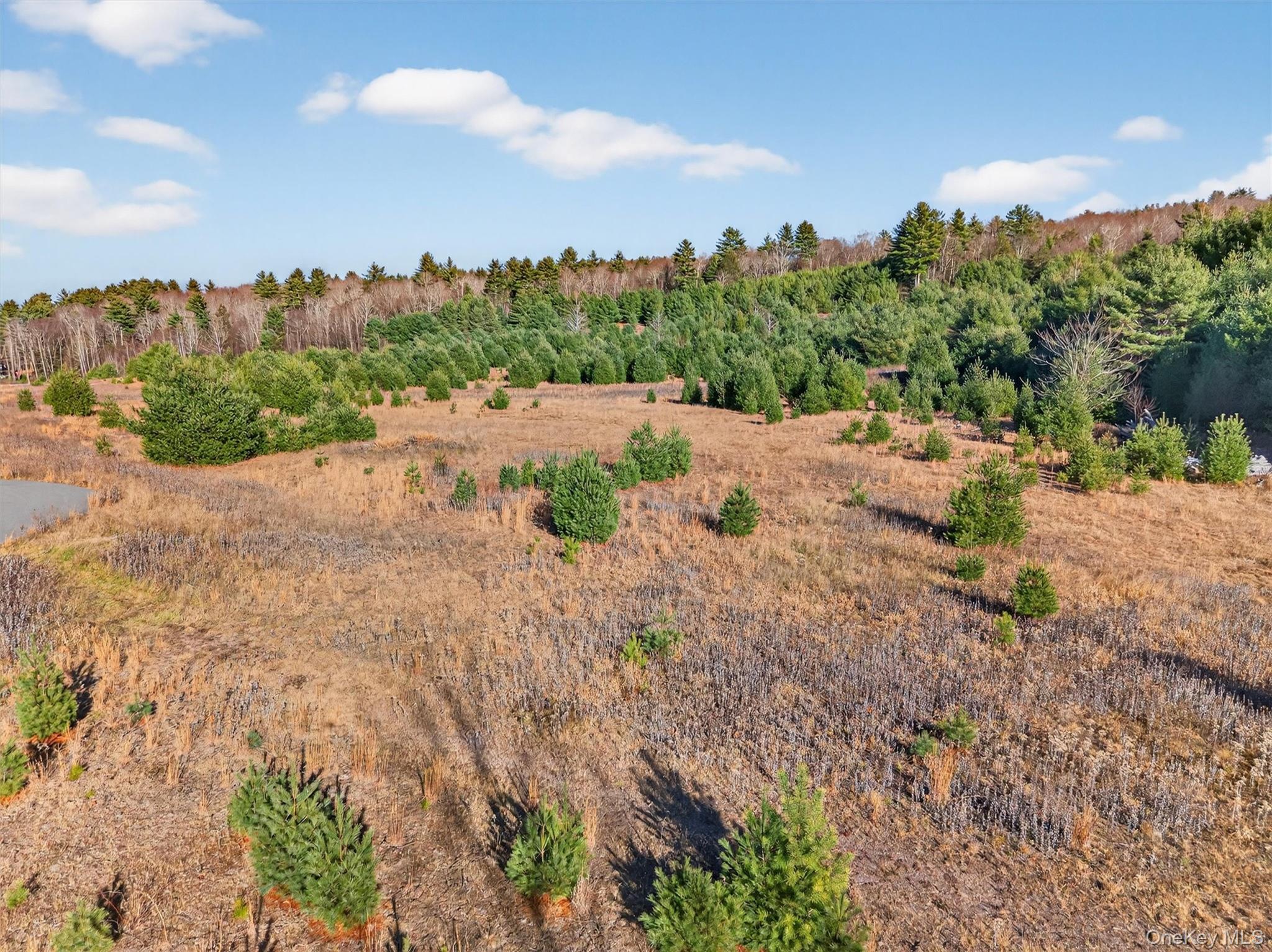 Marsh Road Fallsburg, NY 12733 - Photo 12 of 15 a view of a yard