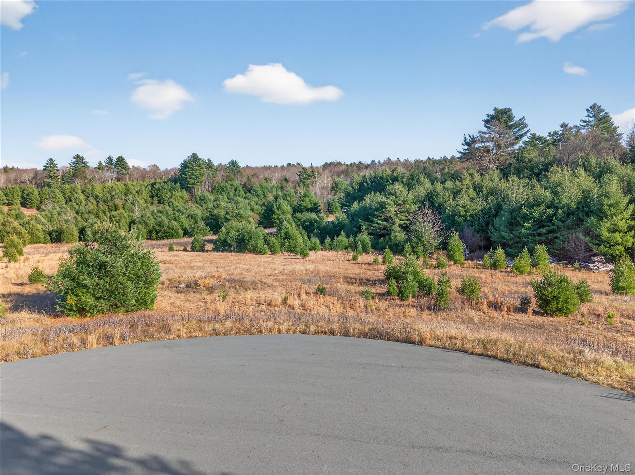Marsh Road Fallsburg, NY 12733 - Photo 13 of 15 a view of street and small yard