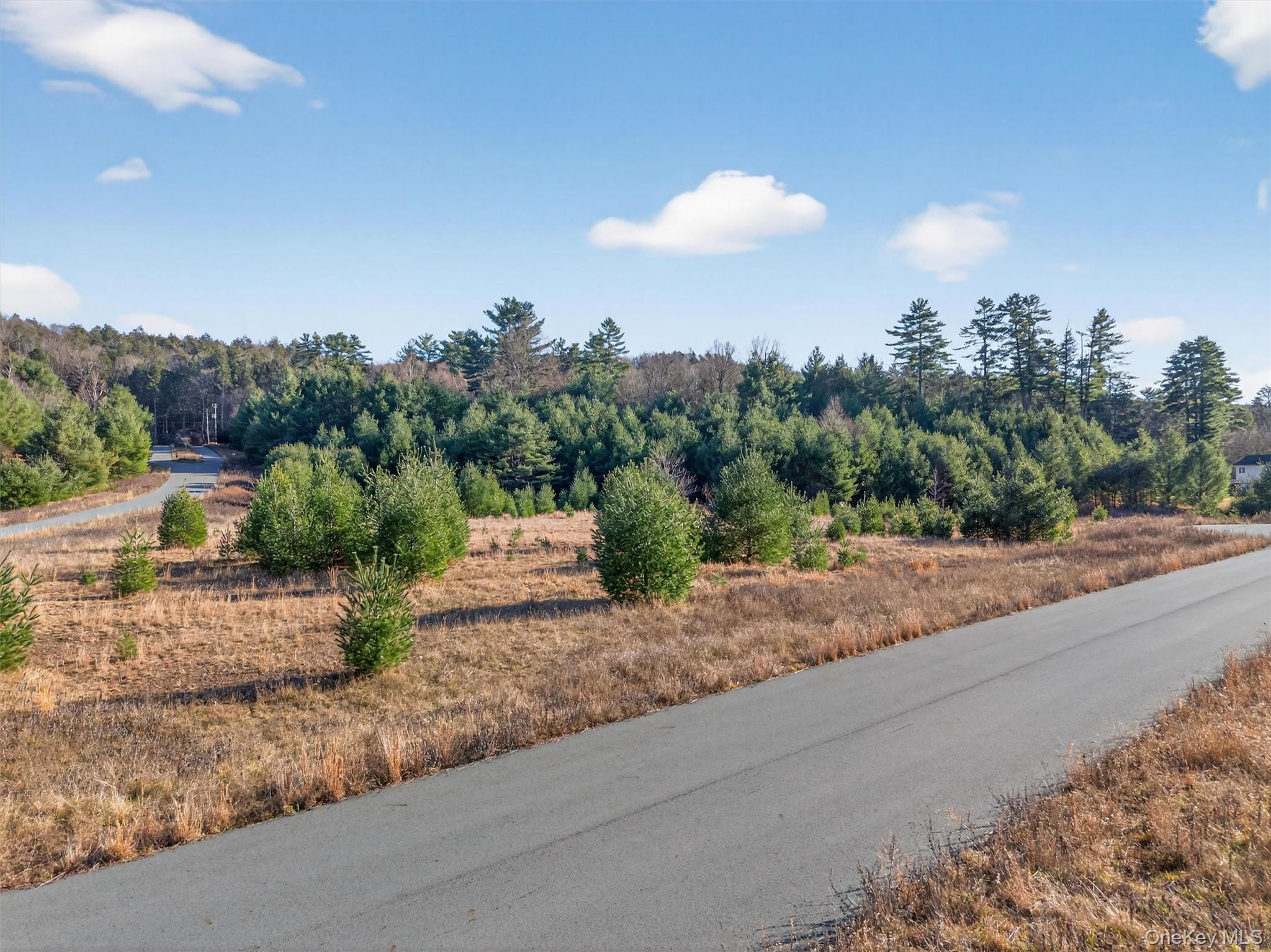 Marsh Road Fallsburg, NY 12733 - Photo 14 of 15 a view of a house with a street from a sink
