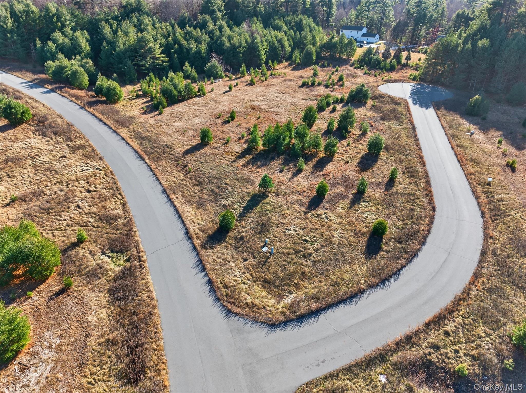 Marsh Road Fallsburg, NY 12733 - Photo 2 of 15 a view of a wooden floor with a yard