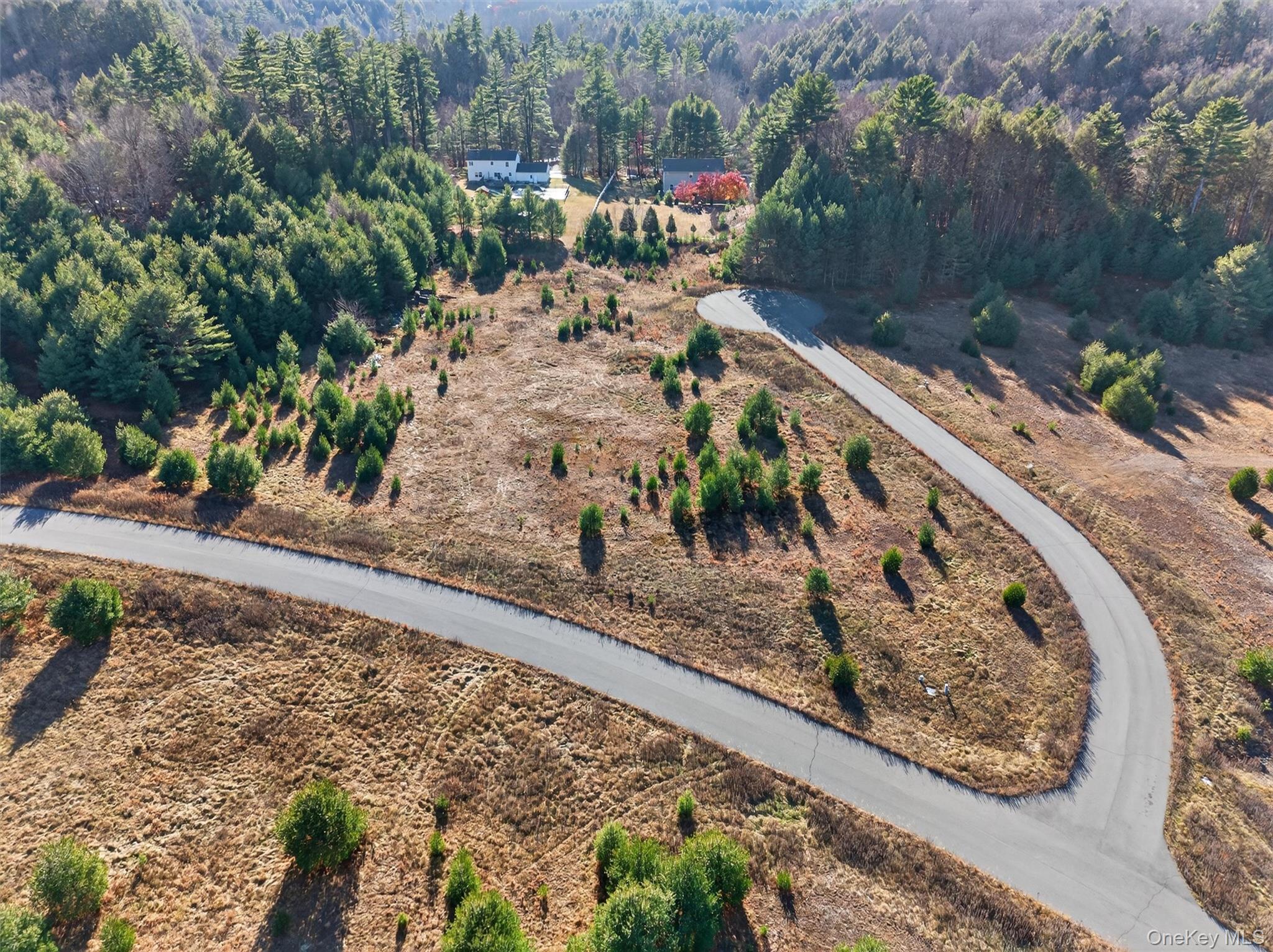 Marsh Road Fallsburg, NY 12733 - Photo 3 of 15 a view of a yard with plants