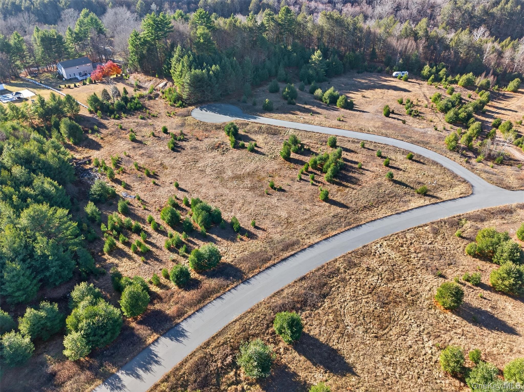Marsh Road Fallsburg, NY 12733 - Photo 4 of 15 a view of a yard with an outdoor space