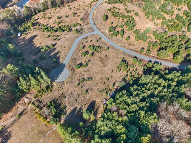 a view of a plant in a yard