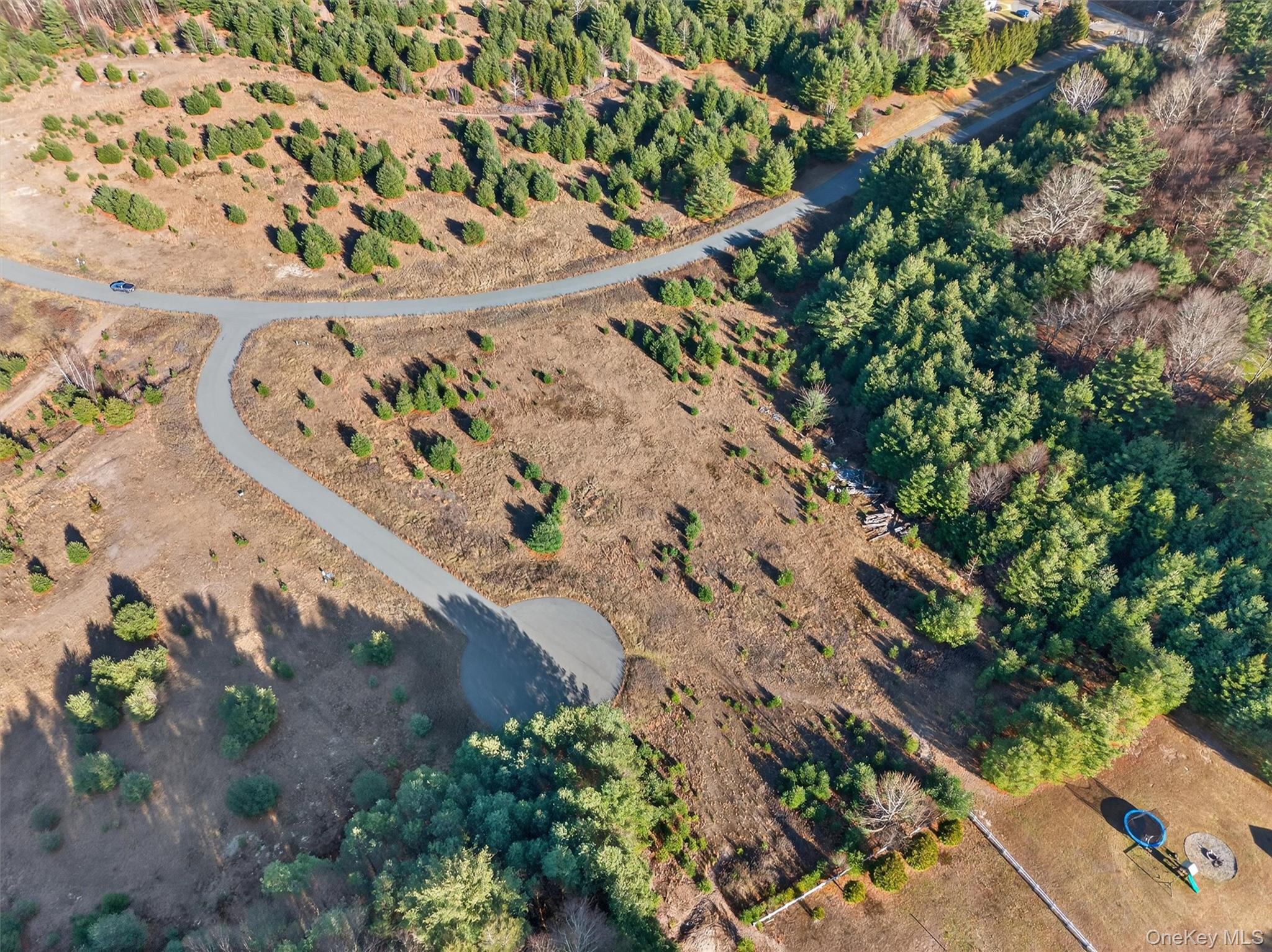 Marsh Road Fallsburg, NY 12733 - Photo 6 of 15 a view of a plant in a yard