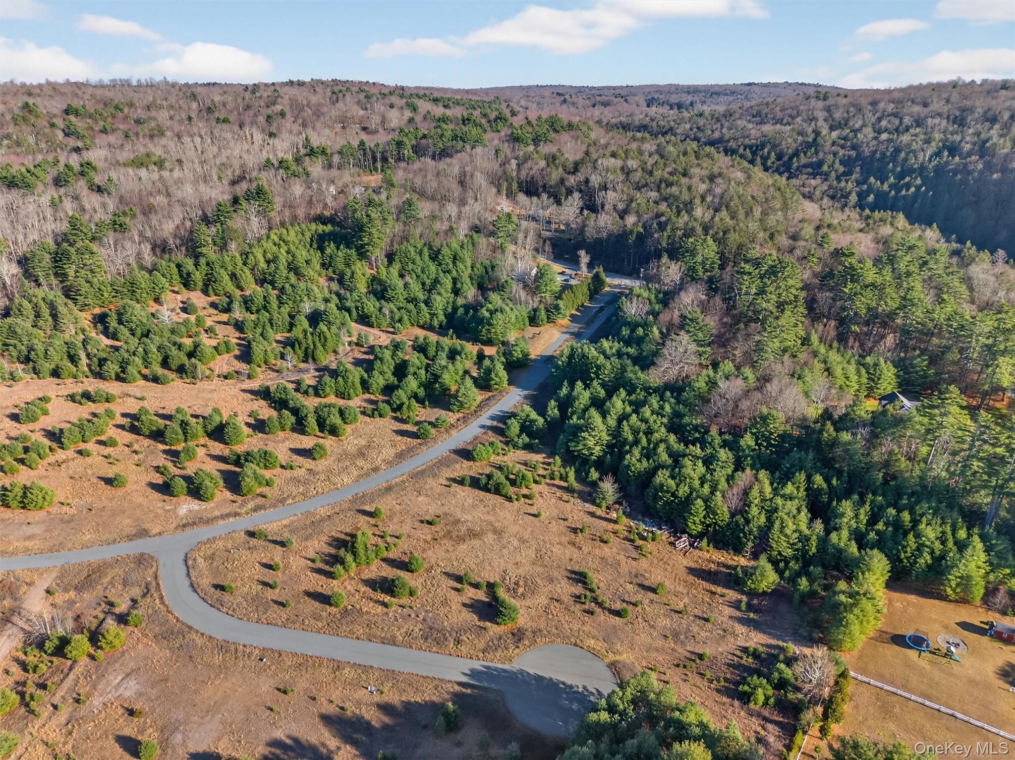 Marsh Road Fallsburg, NY 12733 - Photo 7 of 15 a view of a backyard of a house