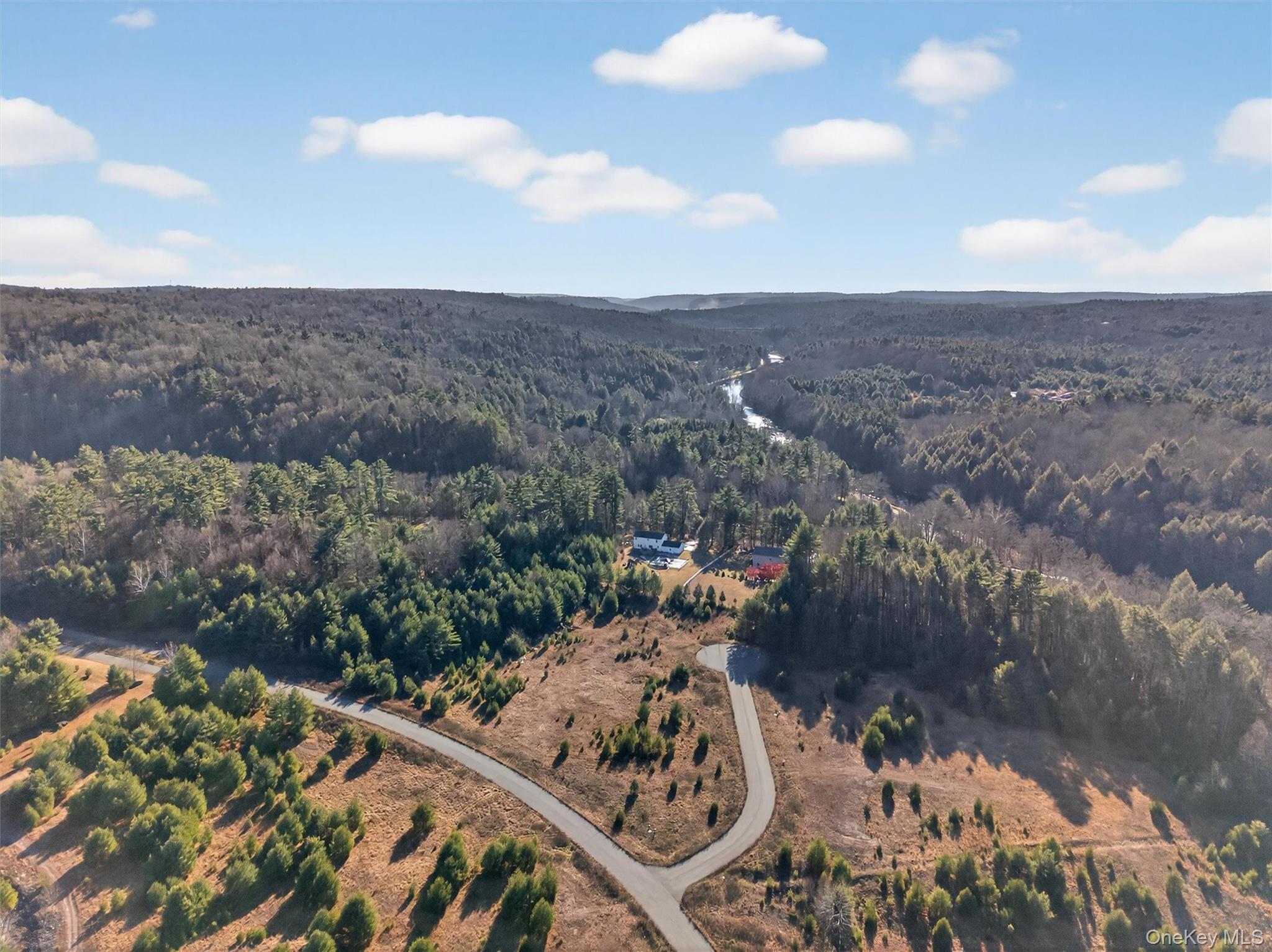 Marsh Road Fallsburg, NY 12733 - Photo 8 of 15 a view of a city