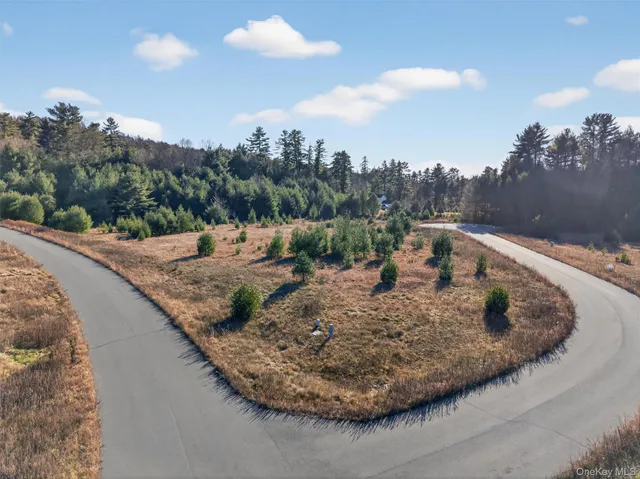 a view of a dry yard with trees
