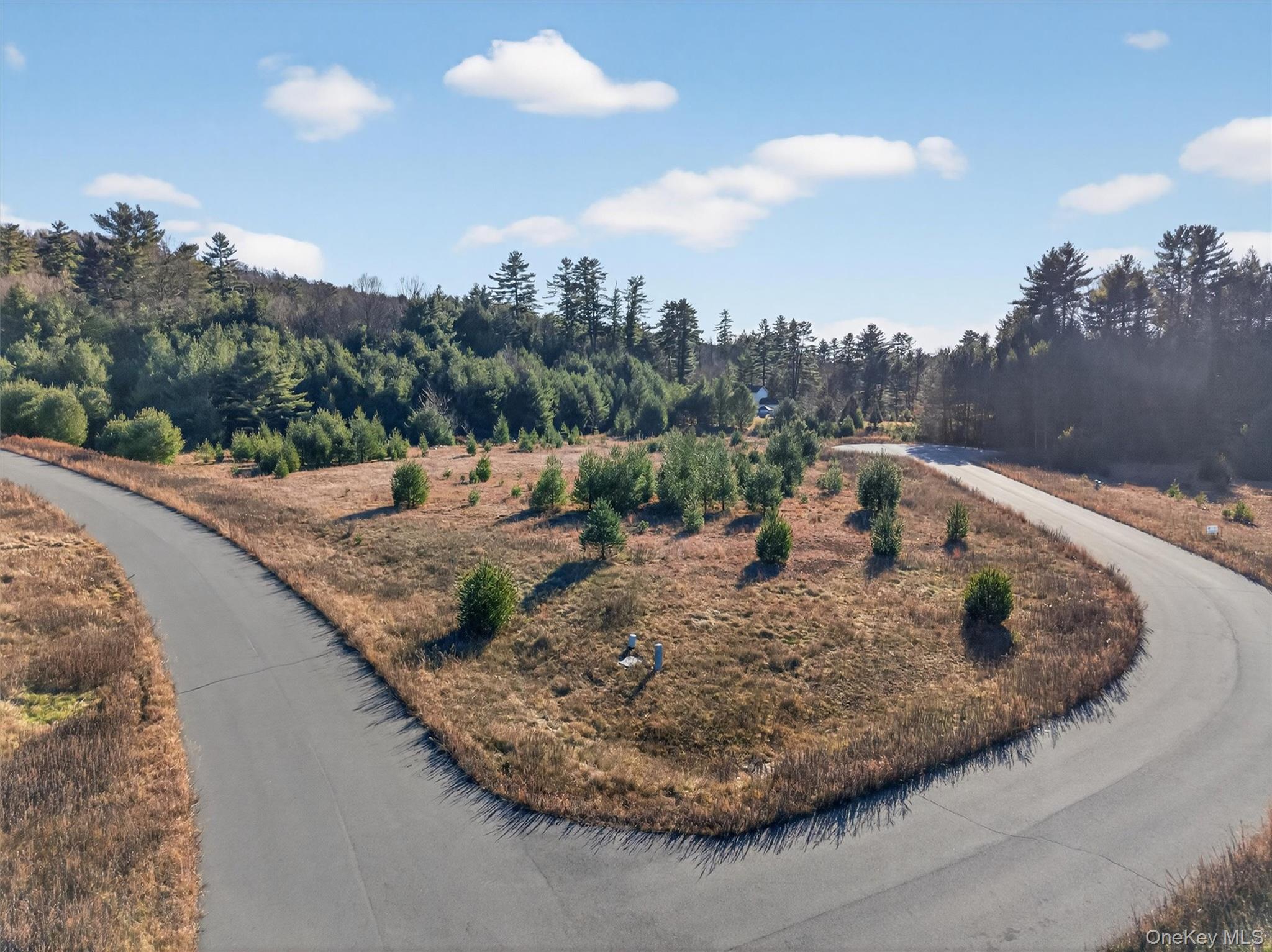 Marsh Road Fallsburg, NY 12733 - Photo 9 of 15 a view of a swimming pool with a yard