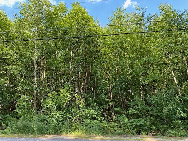 0 Hodgdon Road Scarborough, ME 04074 - Photo 5 of 8 IMG_1036