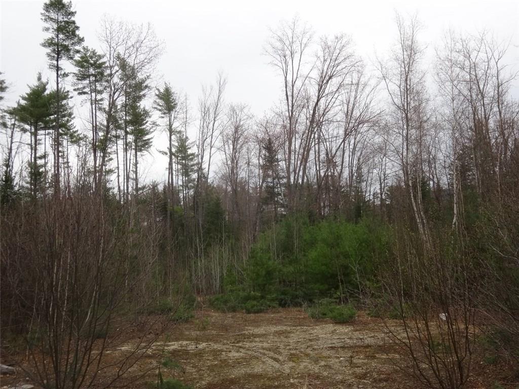 0 Dickvale Road Peru, ME 04290 - Photo 5 of 13 Photo