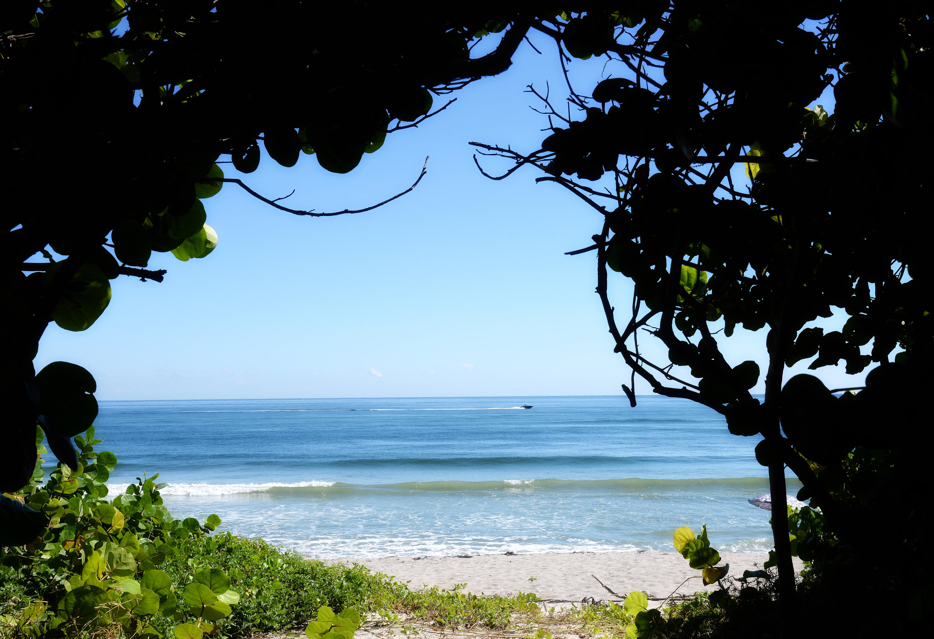 207 Killane Drive Jupiter, FL 33458 - Photo 58 of 59 Jupiter beach