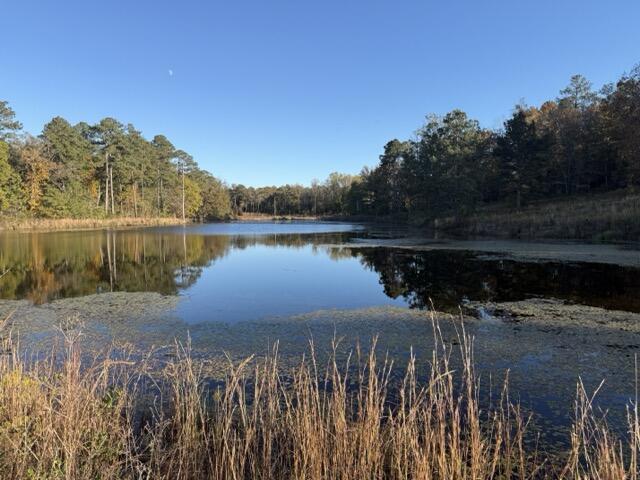0 Mitchner Road Dearing, GA 30808 - Photo 6 of 11 IMG_3144 Medium