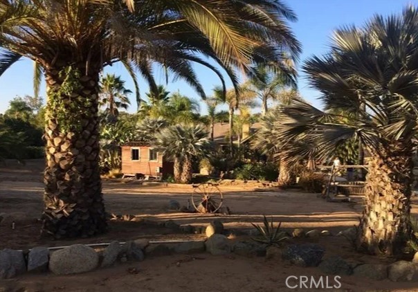 4937 Sweetgrass Lane Bonsall, CA 92003 - Photo 26 of 33 a view of outdoor space with seating area and trees