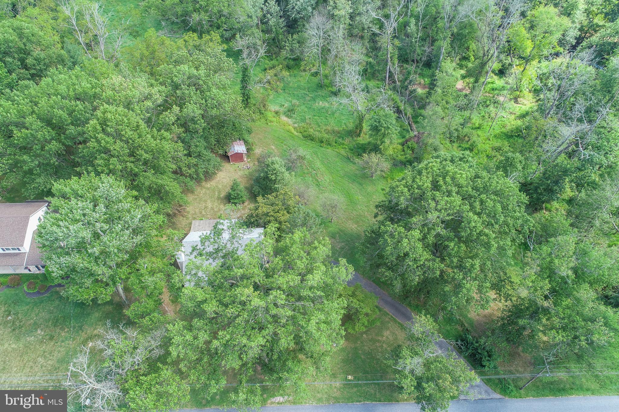 139 Baptist Church Road Spring City, PA 19475 - Photo 9 of 32 a view of a forest with a tree