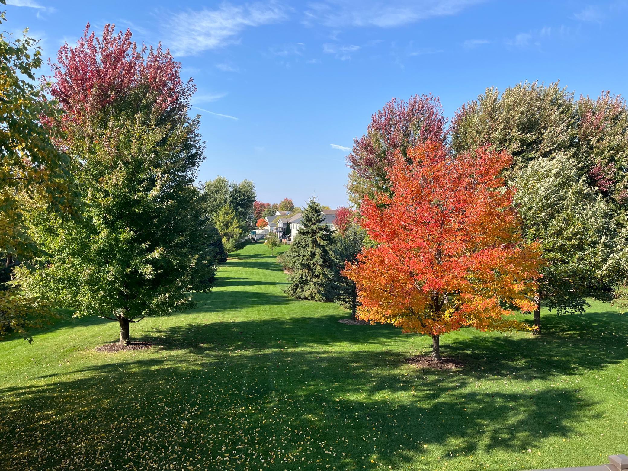 3621 Hart Lane Southwest Rochester, MN 55902 - Photo 52 of 54