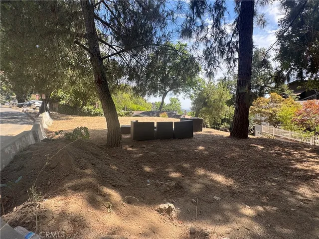 a view of backyard with tree