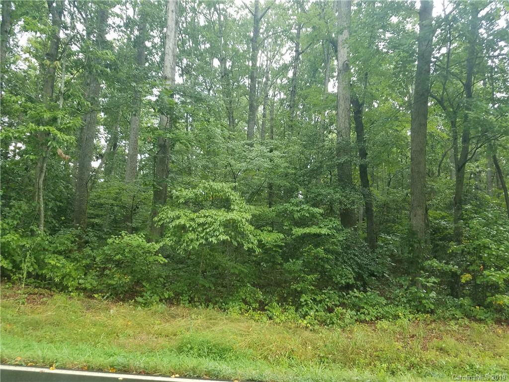 0 Rocky Springs Road Hiddenite, NC 28636 - Photo 5 of 7 Gallery Image 5