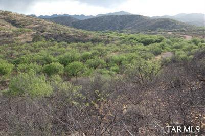 15175 East Hillton Ranch Road Vail, AZ 85641 - Photo 5 of 17