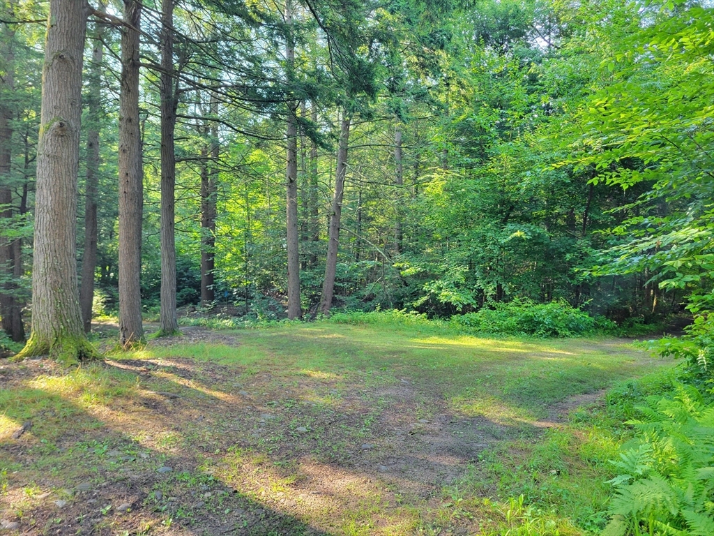 423 Ashby Road Ashburnham, MA 01430 - Photo 2 of 4