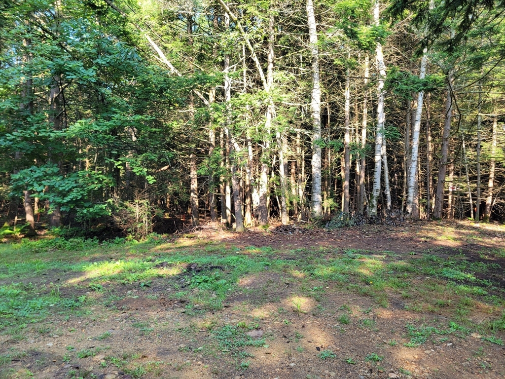 423 Ashby Road Ashburnham, MA 01430 - Photo 3 of 4