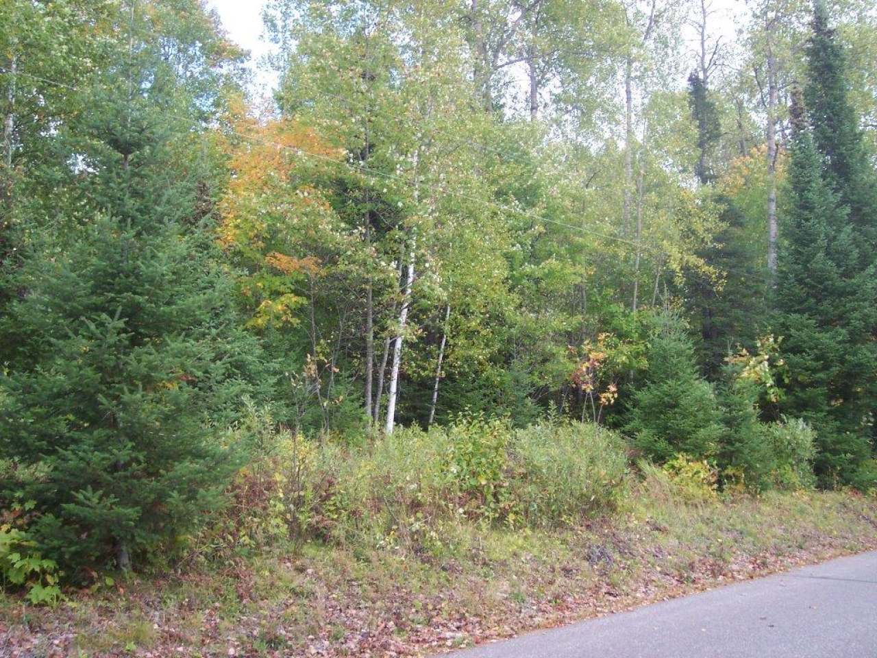 On Palmer Road, Unit LOT 1 Presque Isle, WI 54557 - Photo 4 of 11 Gallery Image 4