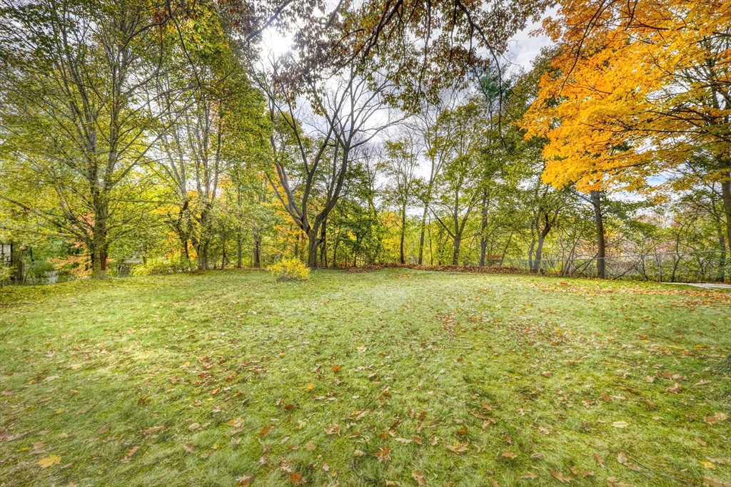 38 Appleton Street Saugus, MA 01906 - Photo 36 of 38 a view of yard with trees