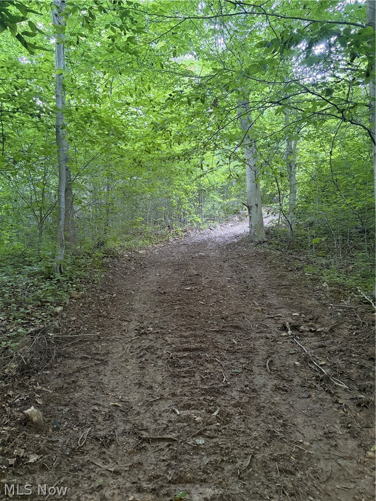 Sykes Ridge Road Clarington, OH 43915 - Photo 29 of 42