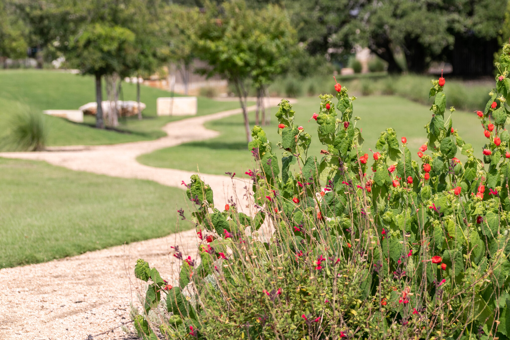 1520 Treasure Map View Leander, TX 78641 - Photo 6 of 9