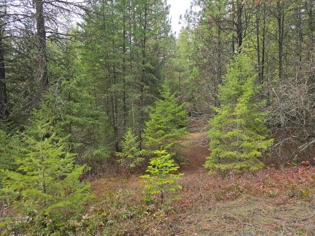 3-xx Gold Creek Loop Road Colville, WA 99114 - Photo 3 of 14