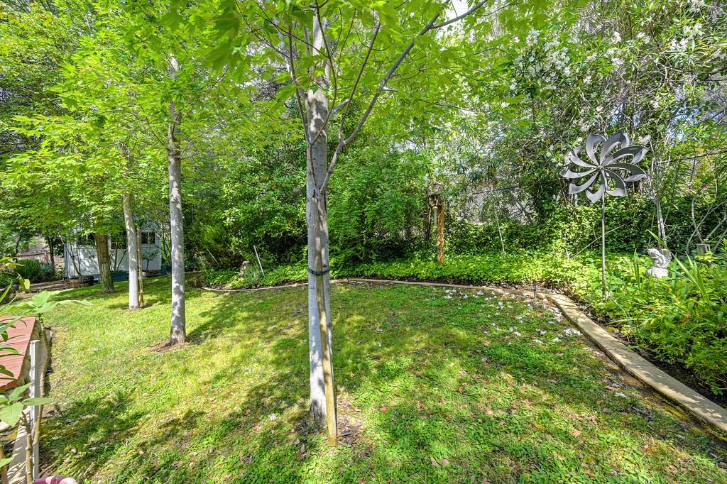 4110 Secret Ravine Way Rocklin, CA 95677 - Photo 75 of 96
