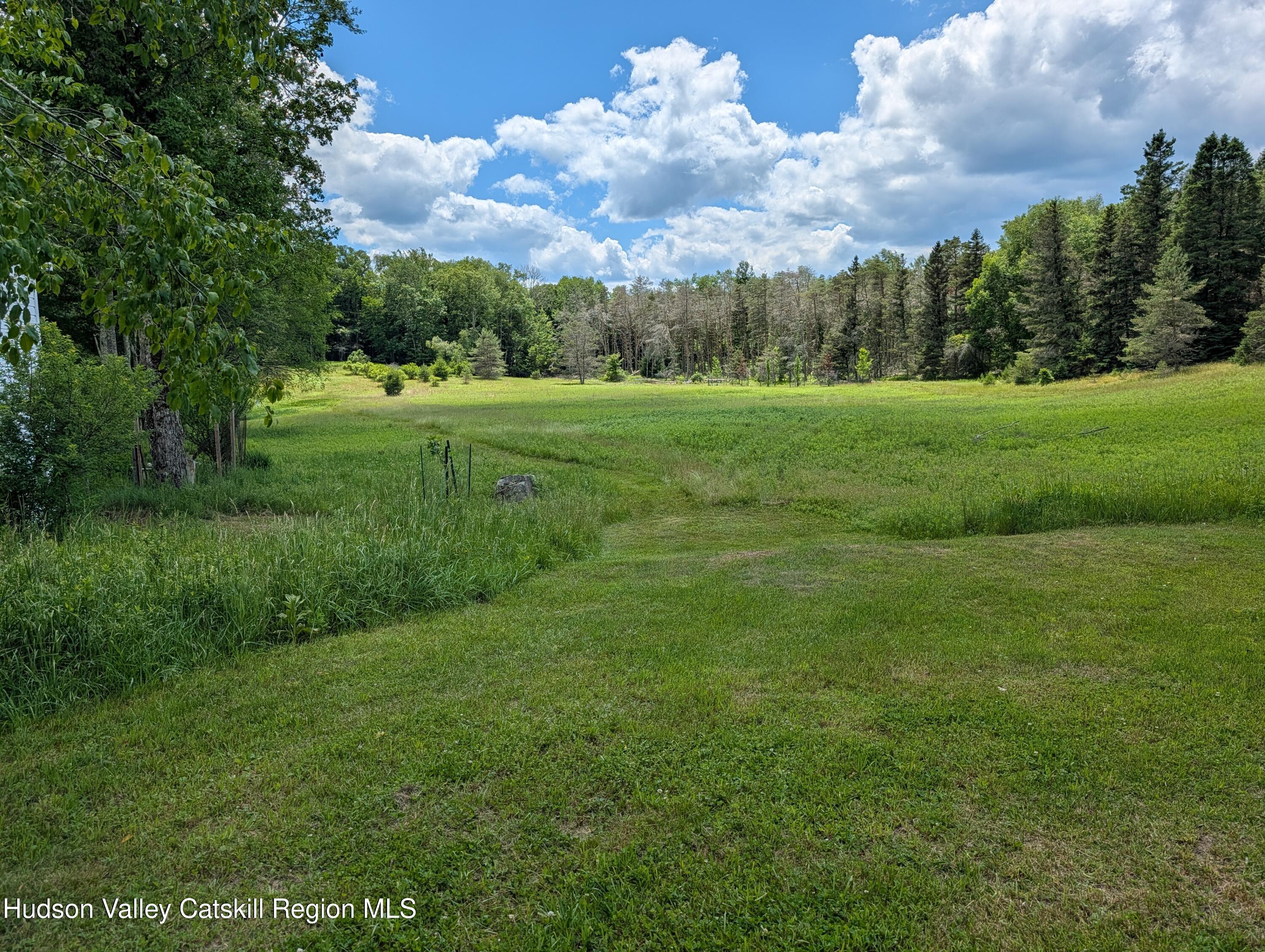 0 Gold Dan Road, Unit 56C Swan Lake, NY 12783 - Photo 28 of 30 PXL_20260619_180226440.MP
