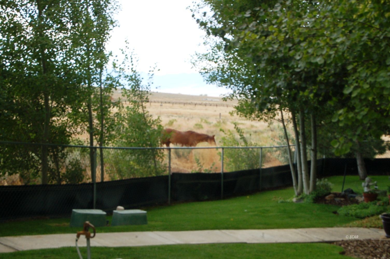1000 3rd Street Montello, NV 89830 - Photo 23 of 26 Gallery Image 23