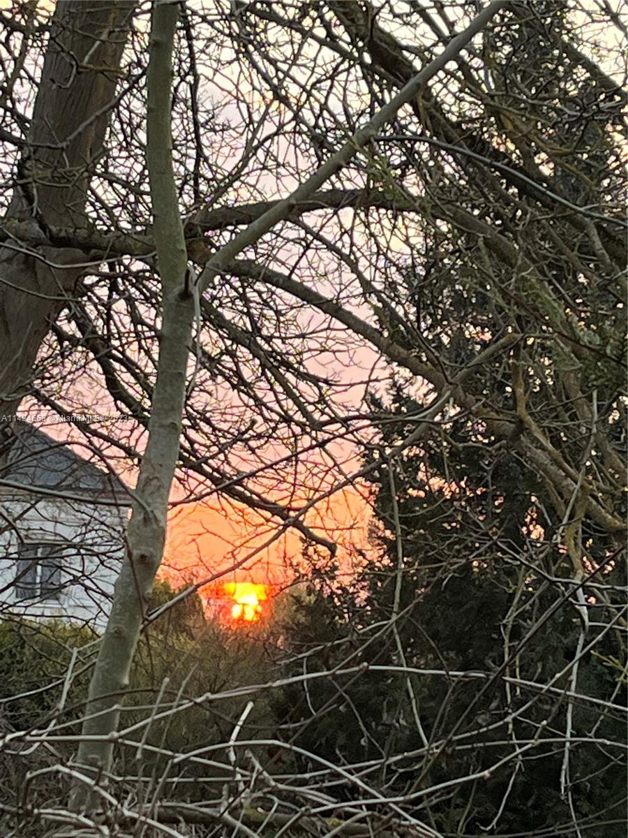 1316 Carrol Street Chattahoochee, FL 32324 - Photo 3 of 6 a backyard of a house with lots of trees