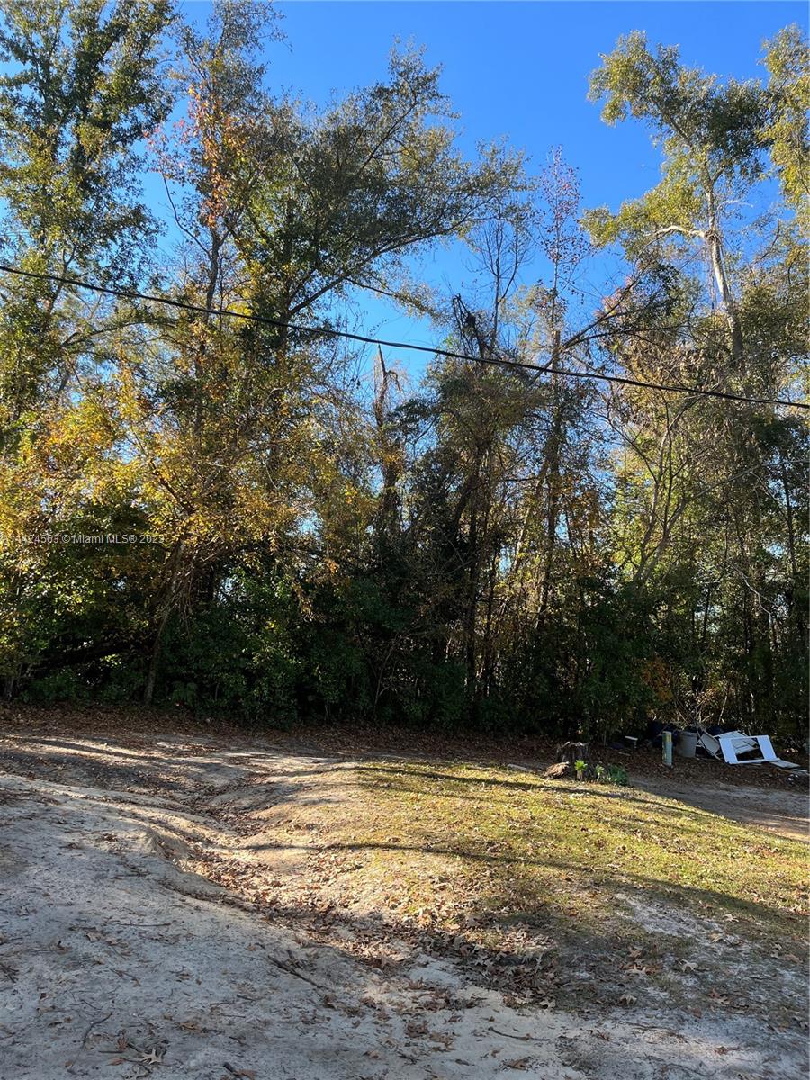 1316 Carrol Street Chattahoochee, FL 32324 - Photo 4 of 6 a view of a yard