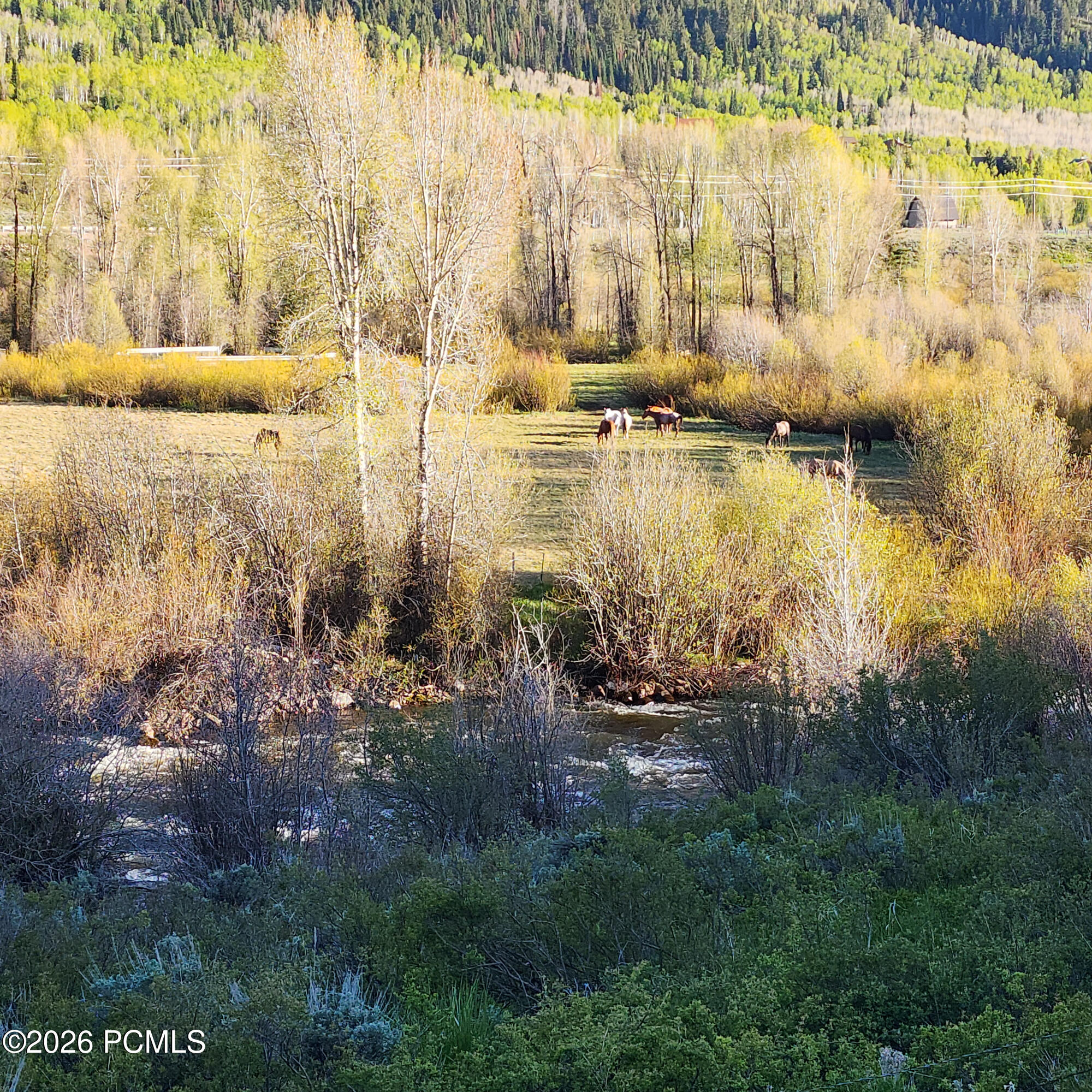 156 Mountain View Road Coalville, UT 84017 - Photo 25 of 35