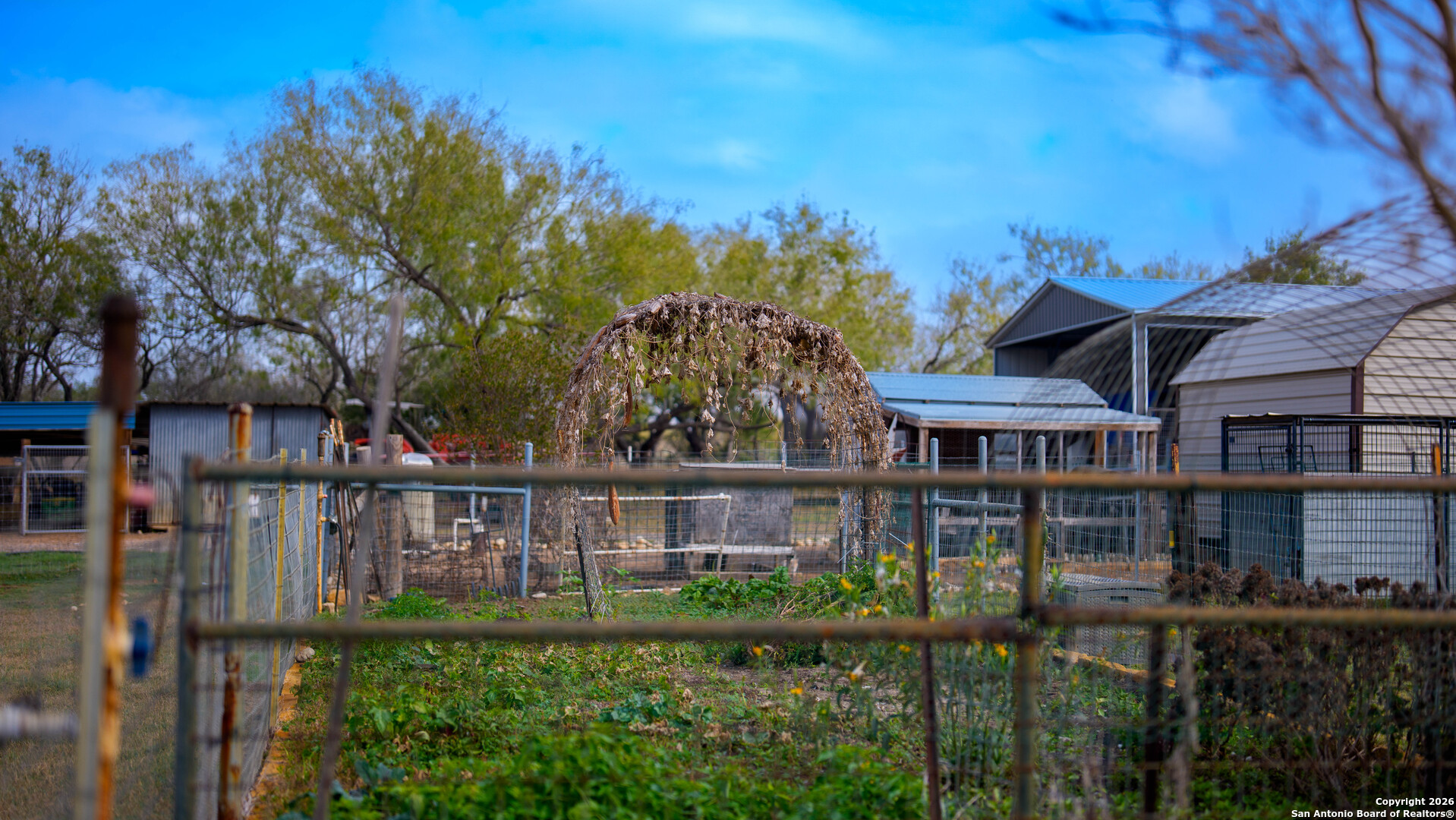 3585 Pittman Road St. Hedwig, TX 78152 - Photo 23 of 36 front view of a house with a yard