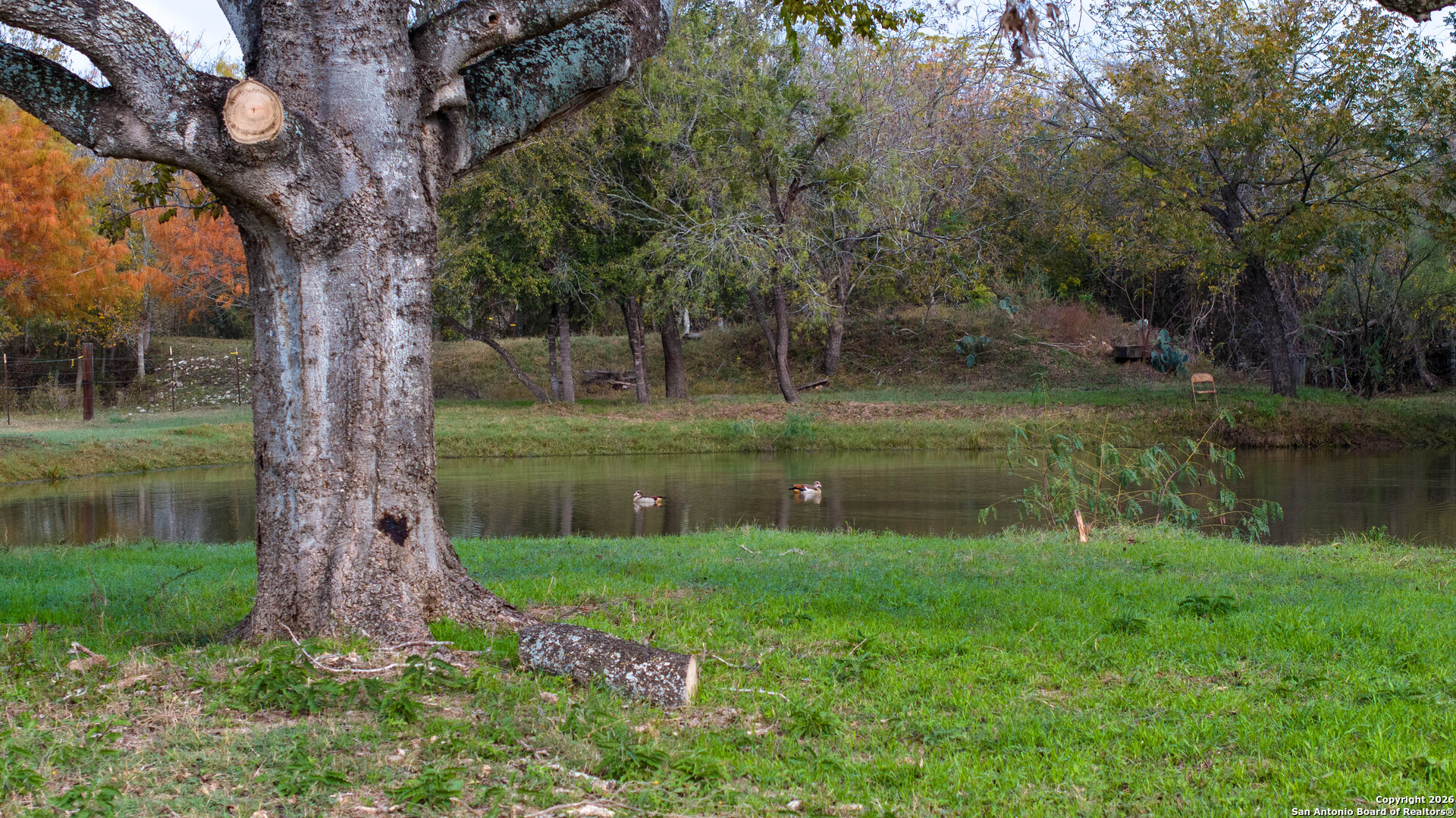 3585 Pittman Road St. Hedwig, TX 78152 - Photo 25 of 36 a view of a lake