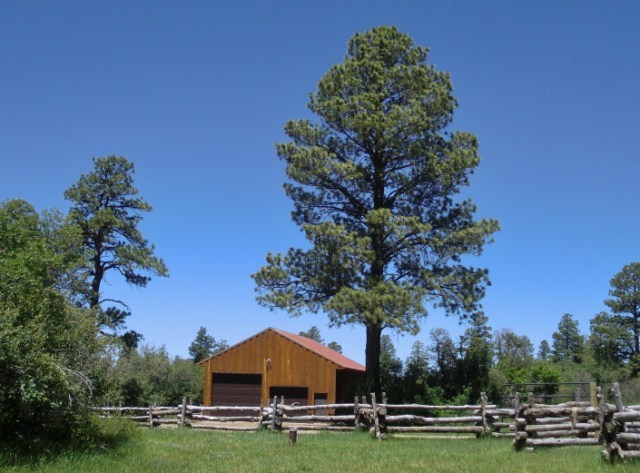 44291 90 Road Nucla, CO 81424 - Photo 3 of 25 a front view of a house with garden