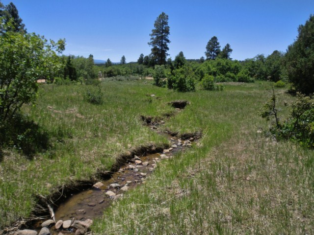 44291 90 Road Nucla, CO 81424 - Photo 21 of 25 a view of a green yard with a tree