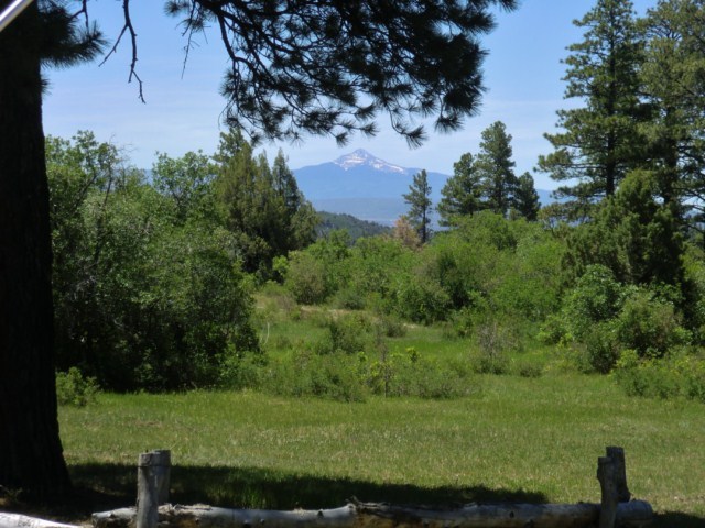 44291 90 Road Nucla, CO 81424 - Photo 23 of 25 a view of a field with a tree