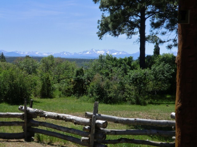 44291 90 Road Nucla, CO 81424 - Photo 24 of 25 a view of a park with large trees