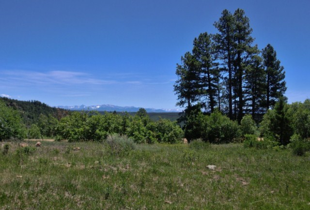 44291 90 Road Nucla, CO 81424 - Photo 25 of 25 a view of a lush green outdoor space with a lake view