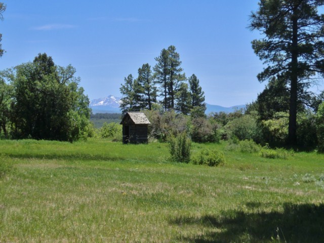 44291 90 Road Nucla, CO 81424 - Photo 4 of 25 a green field with lots of trees in it