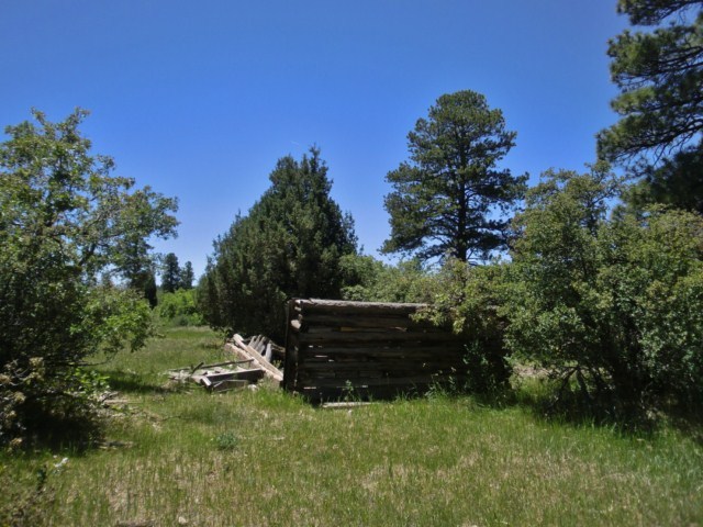 44291 90 Road Nucla, CO 81424 - Photo 5 of 25 a view of outdoor space and yard