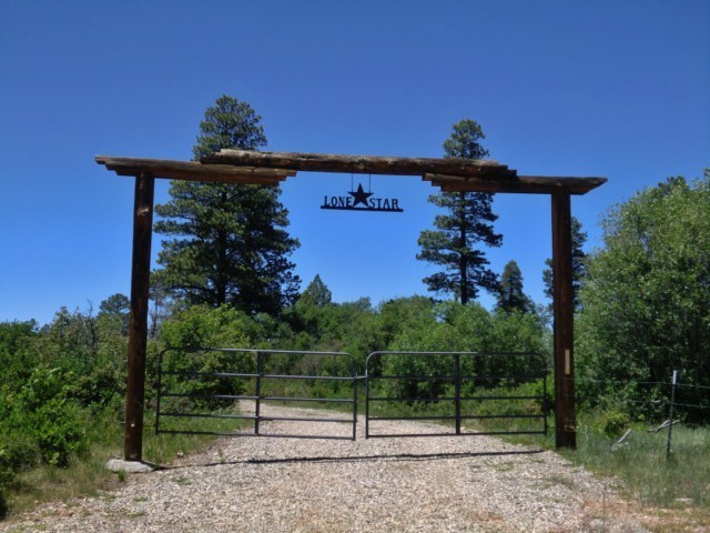 44291 90 Road Nucla, CO 81424 - Photo 9 of 25 a view of a yard with a tree