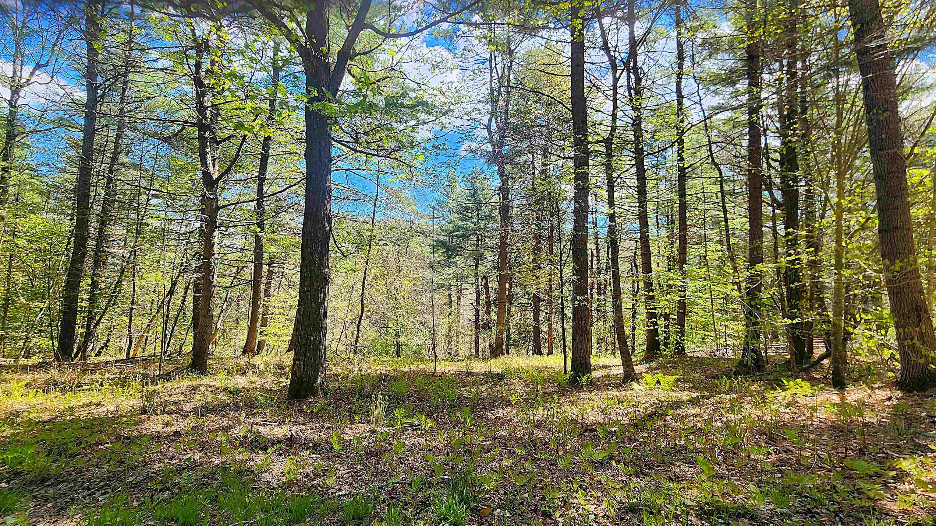 0 Linden Way Chester, VT 05143 - Photo 8 of 22